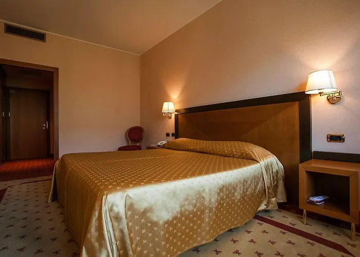 拉秋莎切蒂大酒店 4*