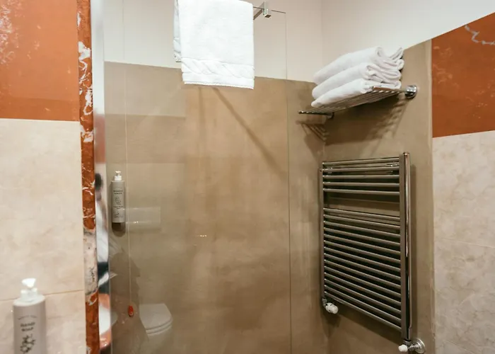 酒店 拉秋莎切蒂大酒店