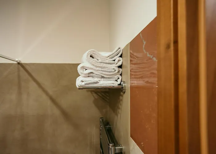 拉秋莎切蒂大酒店 酒店 4*